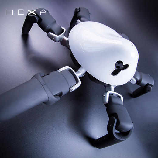 HEXA 六爪全地形可编程机器人 商品图0