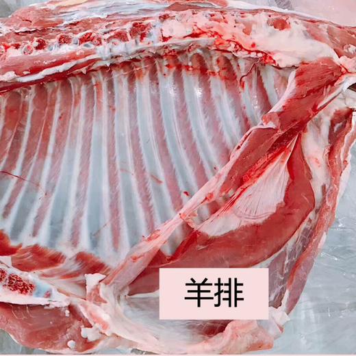 正宗呼伦贝尔羊肉、羊排、羊腿，天然散养，草地羔羊，适合炖汤，非常鲜美美味~ 商品图1