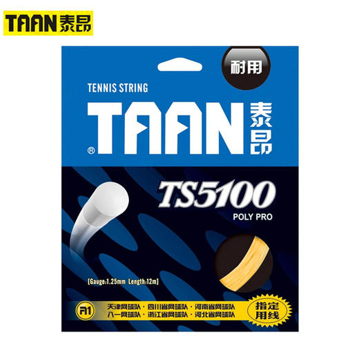 泰昂 Taan TS5100 耐打聚酯硬线 1.25mm线径 网球线 商品图1