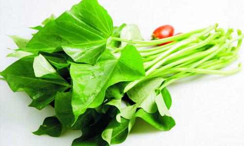 有机红薯叶500克 商品图2