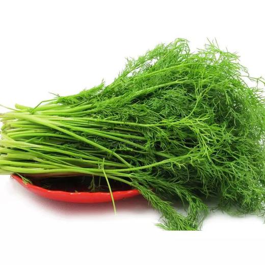 茴香500g 商品图0