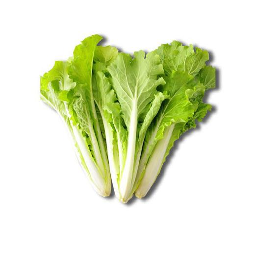 有机杭白菜500g 商品图2