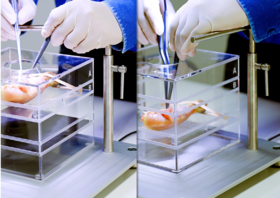 刀峰训练产品视频