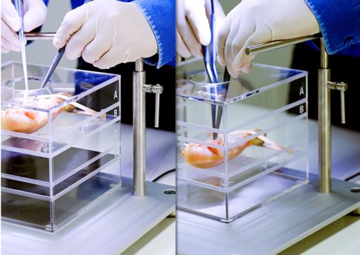 刀峰训练产品视频 商品图0