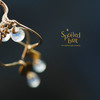 SpoiledBart Jewelry 天然月光石柠檬形耳环 商品缩略图2