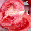 山东海阳普罗旺斯西红柿 新鲜天然番茄白玉黄瓜自然熟 农家水果孕妇包邮 商品缩略图5