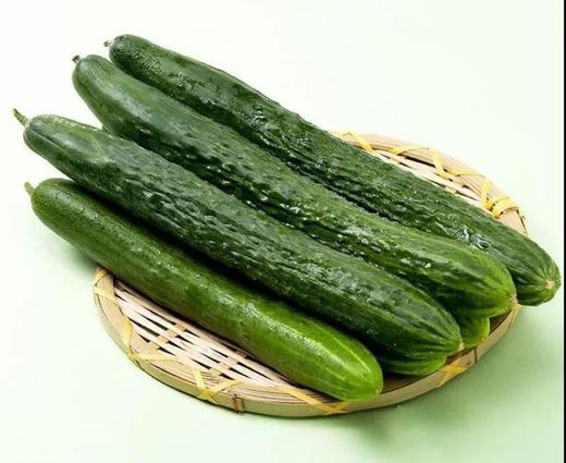 有机刺黄瓜500g 商品图1