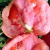 山东海阳普罗旺斯西红柿 新鲜天然番茄白玉黄瓜自然熟 农家水果孕妇包邮 商品缩略图4