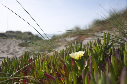 无影周期购测试商品 商品图3