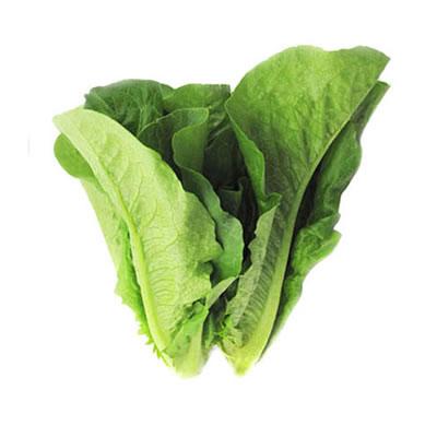 直立生菜300g/份