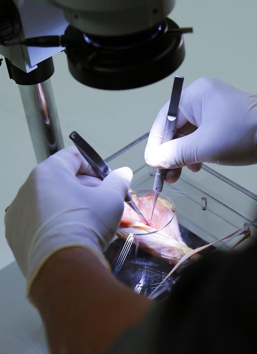 血管吻合训练器 使用视频 商品图0