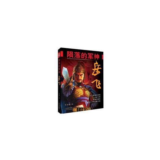 陨落的军神岳飞 商品图0