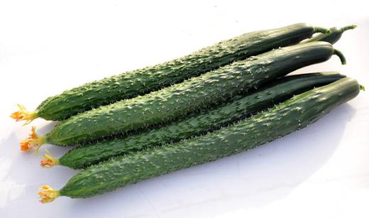 有机刺黄瓜500g 商品图2