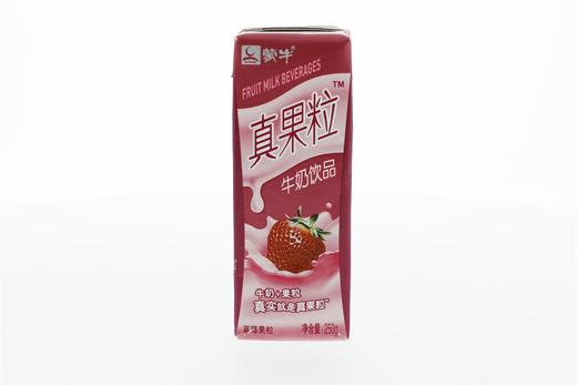 蒙牛真果粒牛奶饮品(草莓果粒)250ml 商品图0