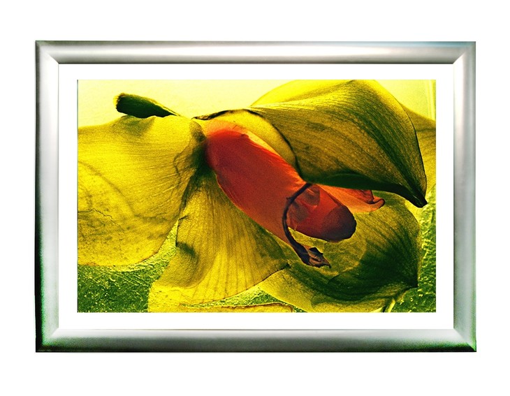 "花之灵·性" the eros of flowers 限量9 - 王小慧艺术馆