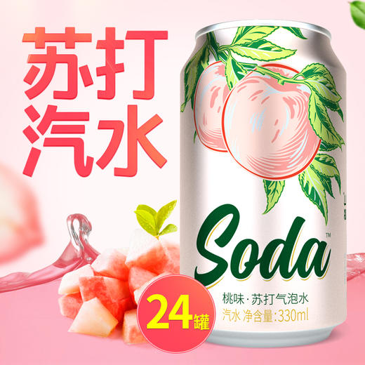 名仁苏打水饮料苏打汽水无糖气泡桃味水DIY饮料24罐 商品图0