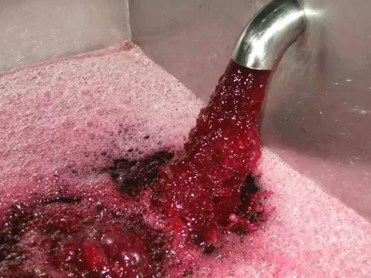 2016橡树堡珍藏赤霞珠干红750ML（2瓶） 商品图6