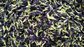蓝蝴花草茶蓝蝴蝶茶