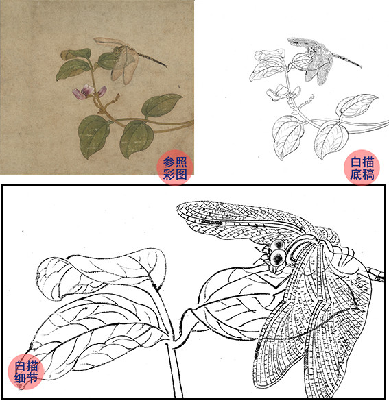 宋画草虫小品白描底稿-任仁发-大豆图-gr14