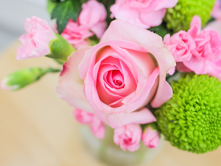 主题花小确幸￥249限时特惠团长送小白花瓶