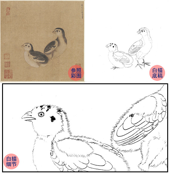 宋畫動物小品白描底稿李迪雞雛待飼圖斗方小品冊頁多種白描尺寸可選