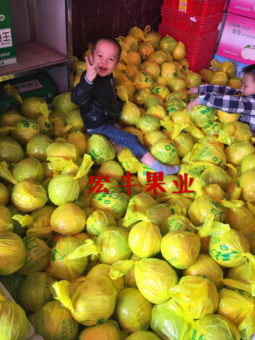宏丰精选 南康甜柚 正宗赣南甜柚 沙田柚 斋婆柚 老少皆宜 零售5.8元一斤 商品图10