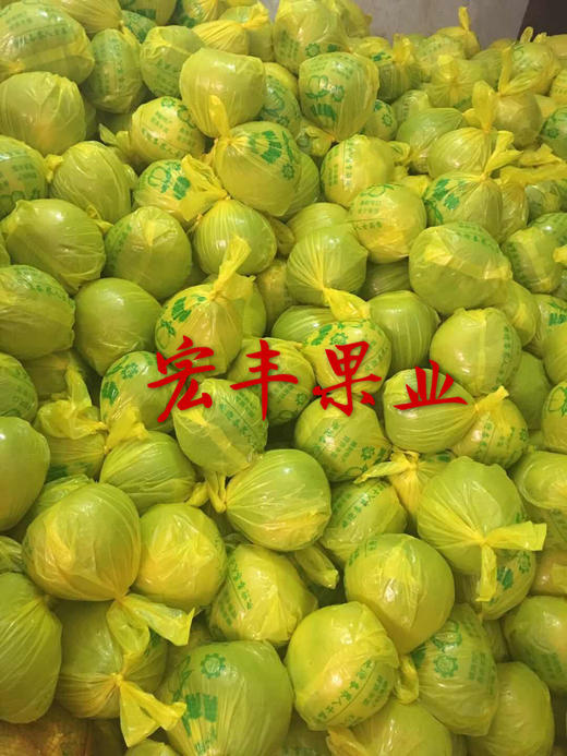 宏丰精选 南康甜柚 正宗赣南甜柚 沙田柚 斋婆柚 老少皆宜 零售5.8元一斤 商品图8