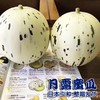 （永久下架）月露蜜瓜 商品缩略图2