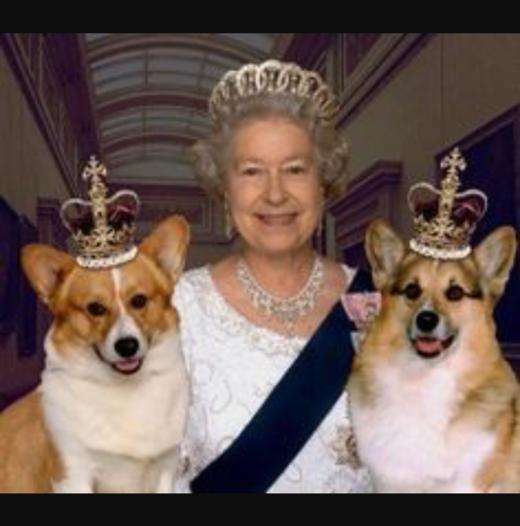 订购9周到｜Alex Monroe-Corgi-皇家柯基犬 项链［英国设计师］ 商品图2