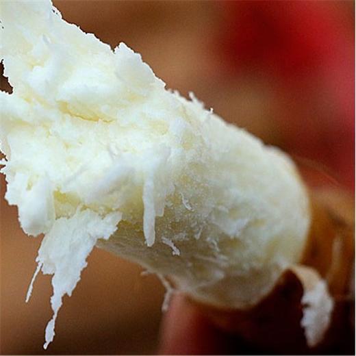 优选新品|焦作正宗垆土铁棍山药  口感瓷糯 新鲜开挖 十年轮作 冬季滋补佳品 5斤礼盒装 商品图3