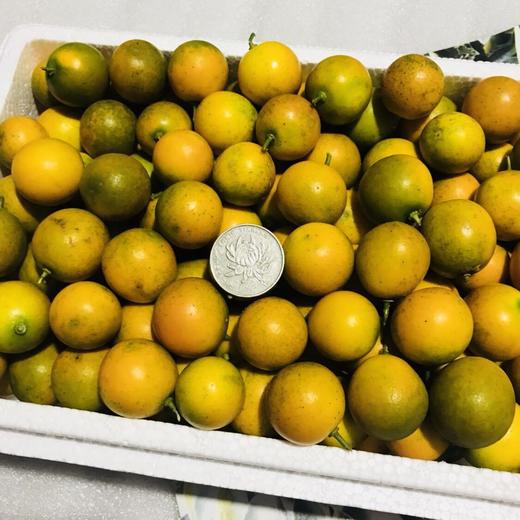 冰糖香妃柚小果