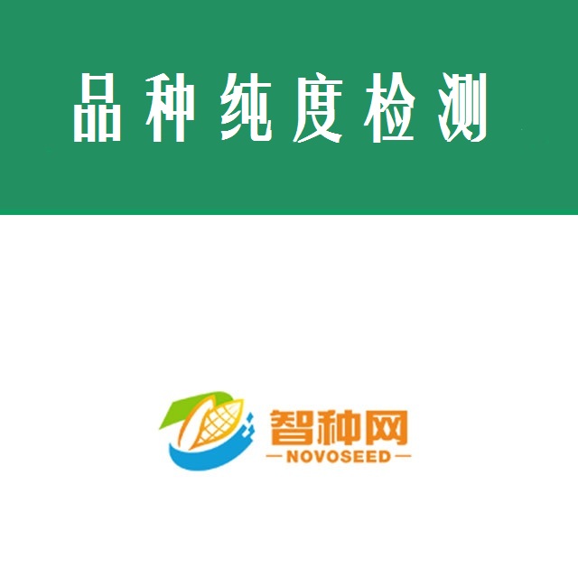 品种纯度分子检测