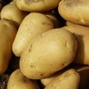 生态羊粪土豆 | 合作生产* Eco- potato | Coproduction 商品缩略图7