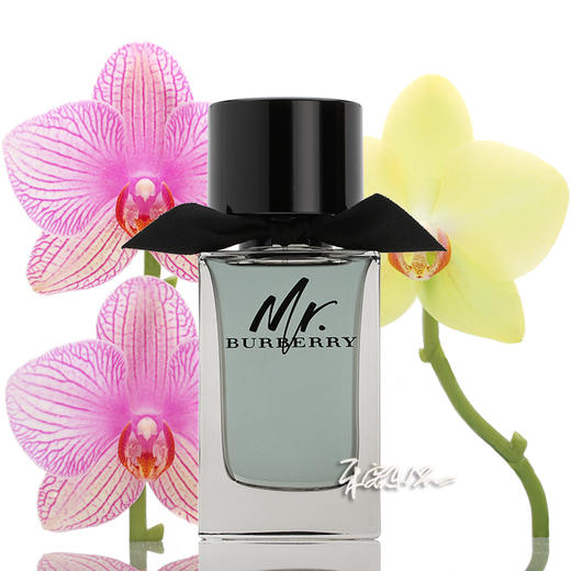 BURBERRY博柏利 MR BURBERRY博柏利先生淡香水  小样/正装 商品图0