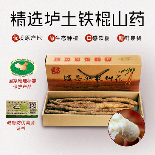 优选新品|焦作正宗垆土铁棍山药  口感瓷糯 新鲜开挖 十年轮作 冬季滋补佳品 5斤礼盒装 商品图1