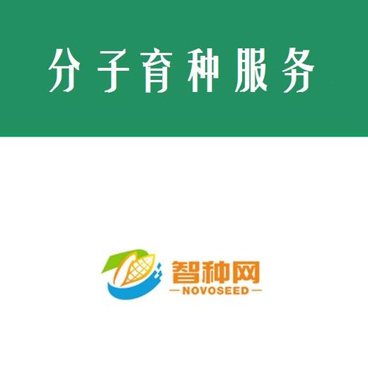 DH生产技术服务 商品图0