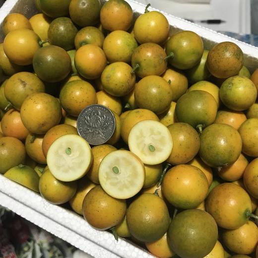 冰糖香妃柚小果