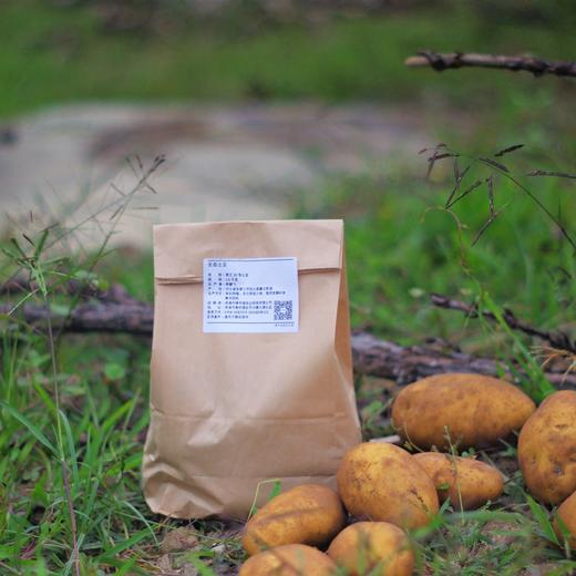 生态红皮土豆 | 合作生产* Eco-red potato | Coproduction 商品图3