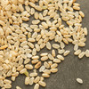 糙米---现定现碾，提前两天预定 商品缩略图1