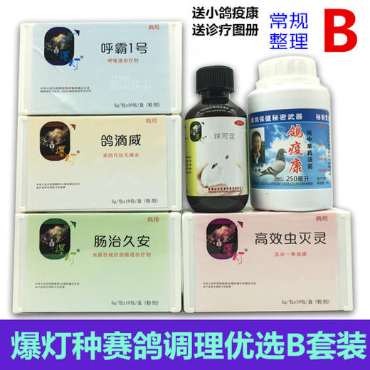 爆灯种赛鸽调理优选B套装 商品图0