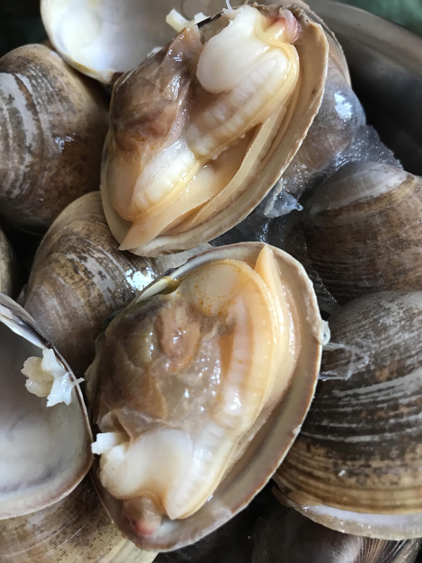 丹东出口大黄蚬子1斤