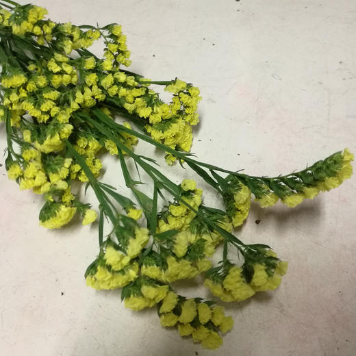 勿忘我2-3支小扎 商品图2