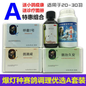 爆灯种赛鸽调理优选A套装（呼吸道、毛滴虫、球虫肠道送鸽疫康）