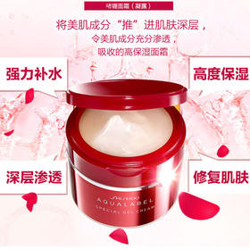 【海外直邮】资生堂 Aqualabel水之印五合一面霜 90g