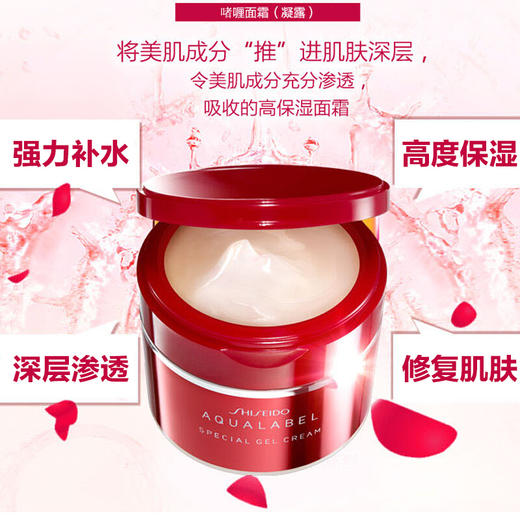 【海外直邮】资生堂 Aqualabel水之印五合一面霜 90g 商品图0