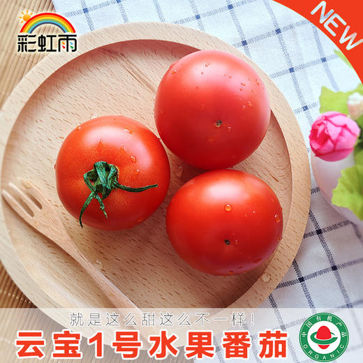 包邮 彩虹雨 新鲜有机蔬菜 水果番茄西红柿3斤装 农场配送 商品图1