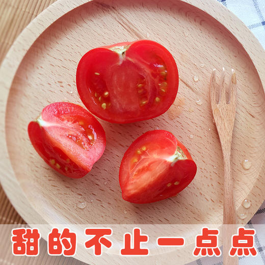 包邮 彩虹雨 新鲜有机蔬菜 水果番茄西红柿3斤装 农场配送 商品图2