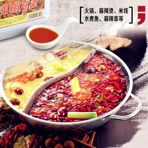 辣椒红色素【云仓】 商品图2