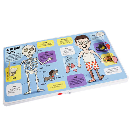 乐乐趣科普翻翻书 小小探险家（共2册） 适读年龄：3+ 原价：113.6元 商品图1