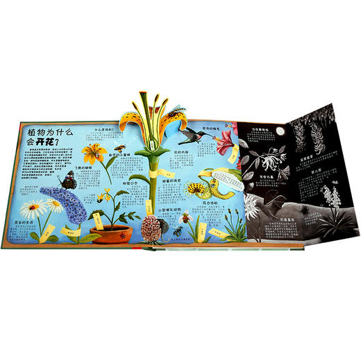 乐乐趣科普立体书-植物是如何工作的  适读年龄：3+  商品图1